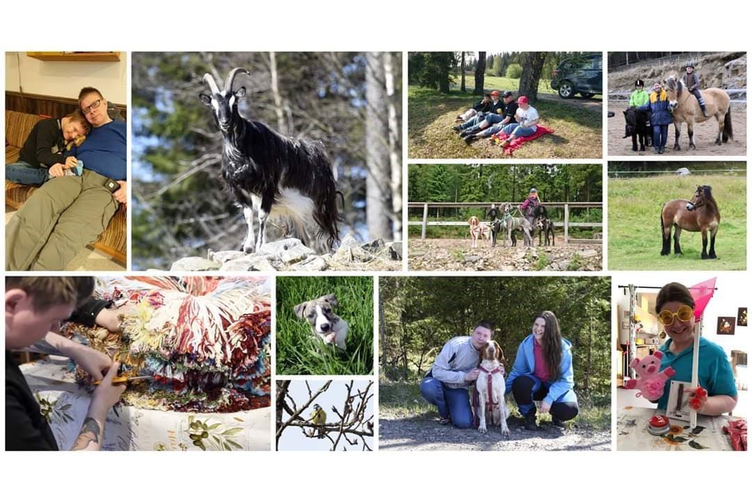 Stallyckans föreläsningar