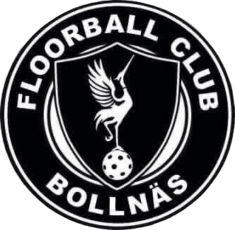 Bollnäs FBC