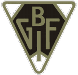 Bollnäs GIF Fotboll